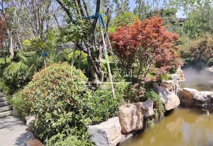 宝鸡 太白山唐镇景区雾森